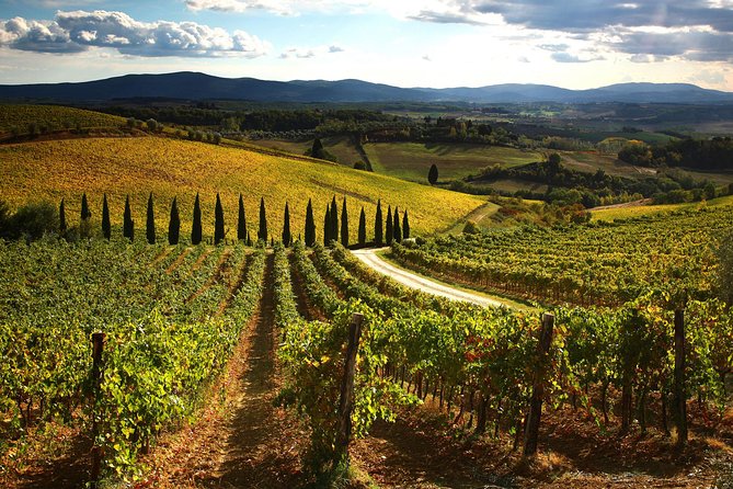 Small-Group Chianti Trip With Wine Tasting From Siena - Castles Visited