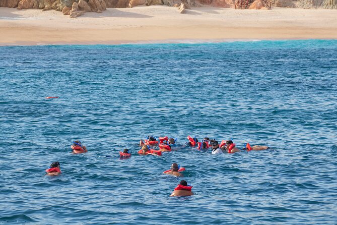 Snorkel & Sunset Sail in Cabo San Lucas - Additional Information