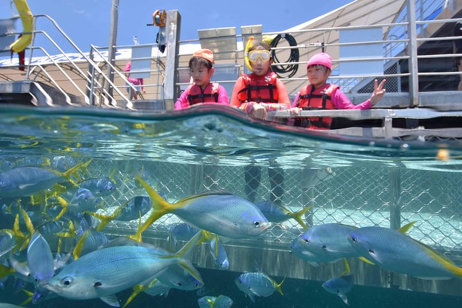 Sunlover Reef Cruises Cairns Great Barrier Reef Experience - Activities and Experience Options