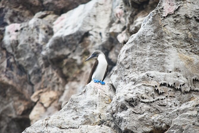 Ten Islands Expedition - Refreshments and Snacks Included