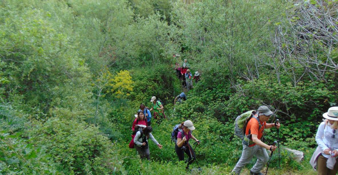 Tinos: Tarampados to Komi Guided Hiking Tour - Common questions