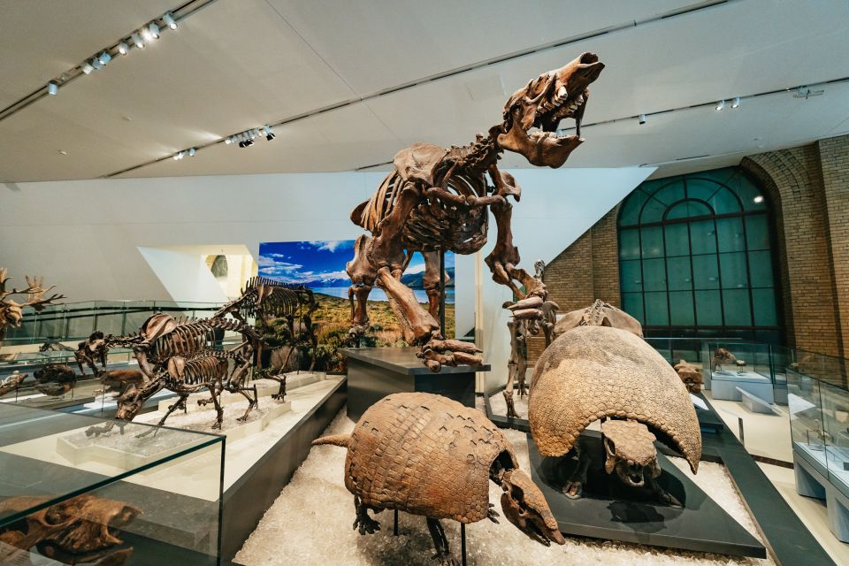 Toronto: Royal Ontario Museum Admission Ticket - Customer Reviews