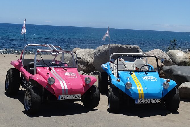 Tour in a Real VW 70s Buggy in Gran Canaria 4 People. - Testimonials and Recommendations