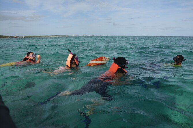 Tulum: Snorkeling and Private Sailing Tour - Tour Summary and Recommendations