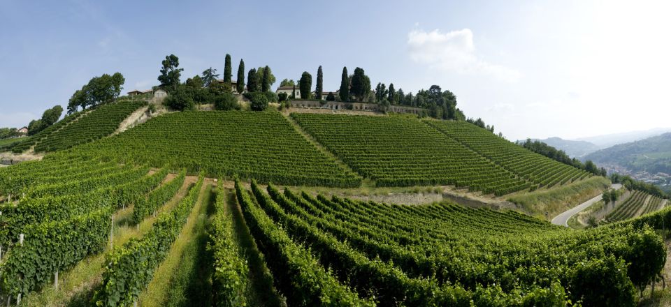 Turin: Private Barolo Wine Region Day Trip With Lunch - Customer Review