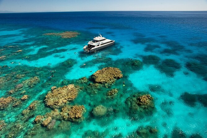 Tusa Reef Tours All Inclusive Great Barrier Reef Tour From Cairns - Important Health and Safety