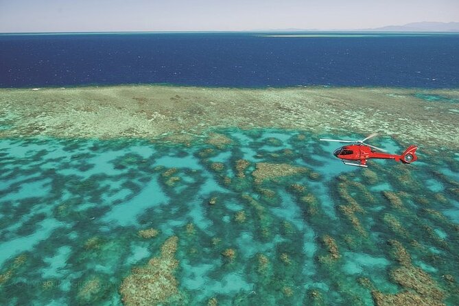 Ultimate Great Barrier Reef and Rainforest 45-minute Helicopter Tour - Reviews and Testimonials