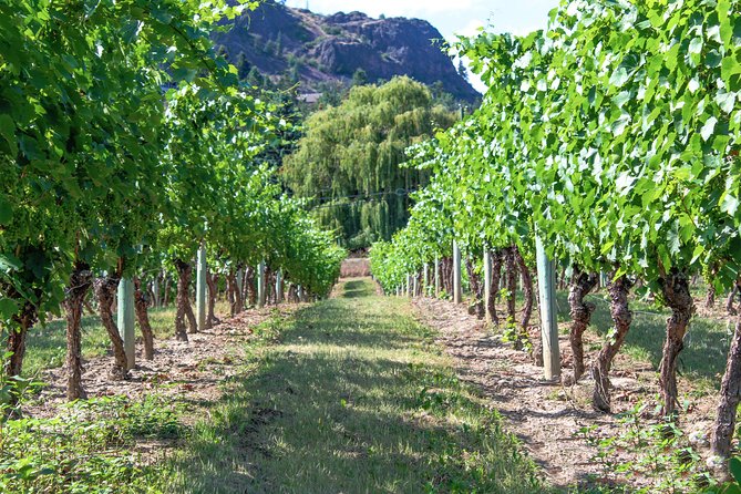 Unmatched Private Wine Tours for Up to 11 in Kelowna Area - Reviews and Testimonials