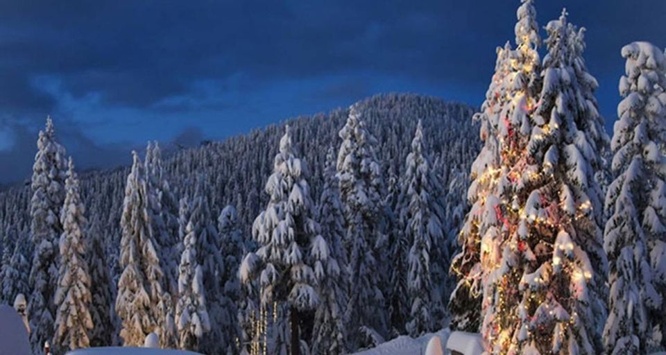 Vancouver Day Trip|Grouse Mountain&Capilano Suspension - Inclusions in the Tour Package