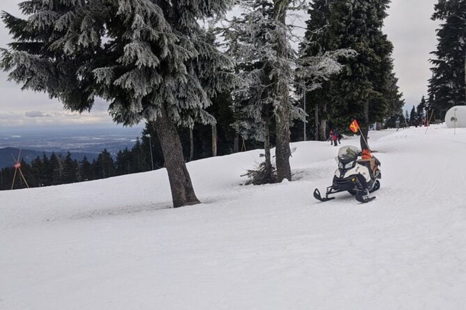 Vancouver Mountain to Mountain (Grouse,Cypress,Mount Seymour - Experience and Highlights