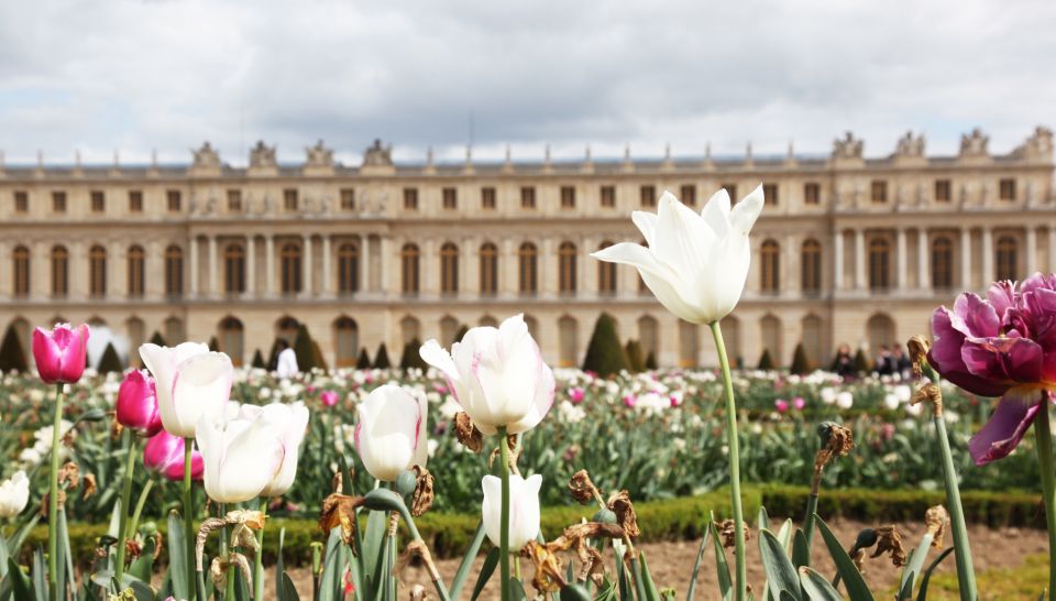 Versailles: Guided Versailles Palace Tour and Gardens Option - Customer Reviews