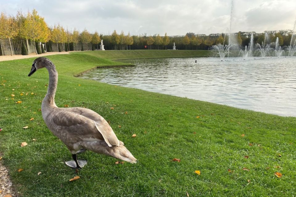 Versailles: Royal Palace & Gardens Private Golf Cart Tour - Inclusions and Privileges