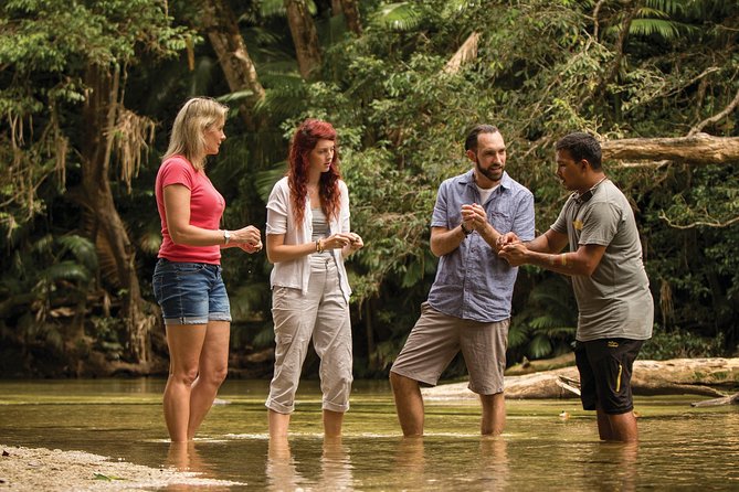 Walkabout Cultural Adventures - We All Stand Together Here Half Day - Embracing Kuku Yalanji Traditions