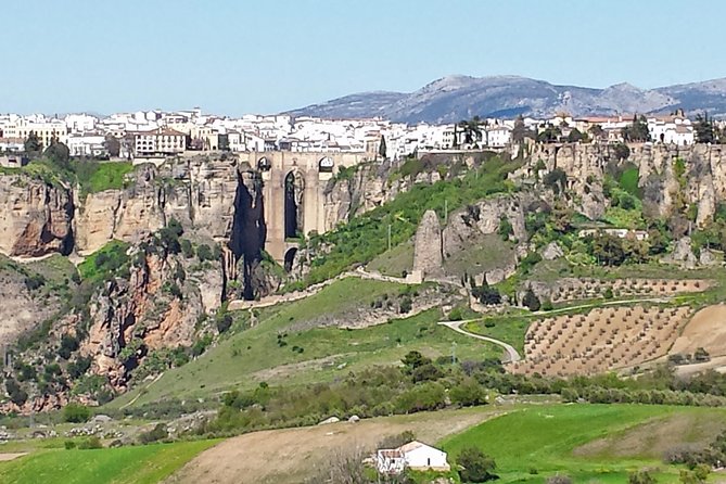 White Villages and Ronda Guided Day Tour From Seville - Common questions