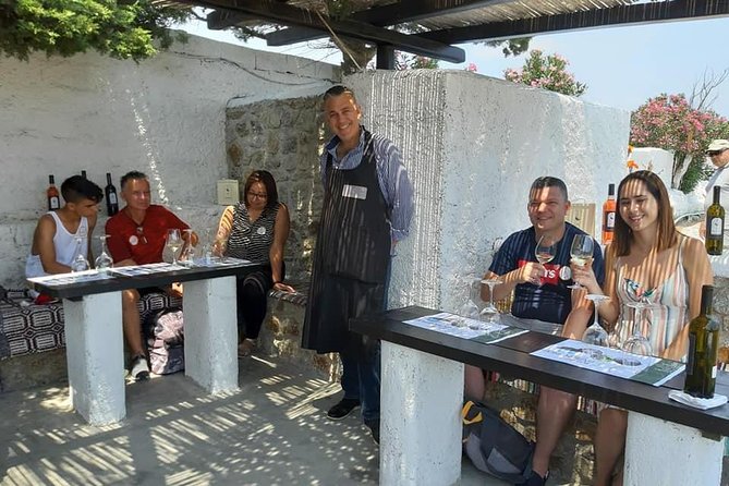 Wine Tasting Tour at a Traditional Farm in Mykonos - Final Words