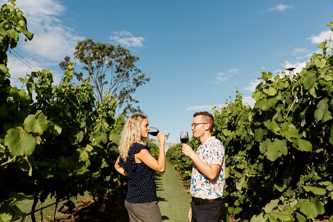 Wine Tasting Tour to Tamborine Mountain - What to Expect on the Journey