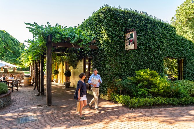 Yalumba Nursery & Grenache Discovery Tour + Platter Lunch - Important Tour Restrictions