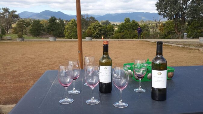 Yarra Valley Grazing Tour With Champagne Brunch at Chandon - Reviews and Testimonials