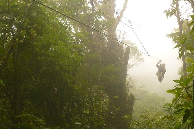 Zipline and Hanging Bridges Combo Tour in Monteverde Cloud Forest - Common questions