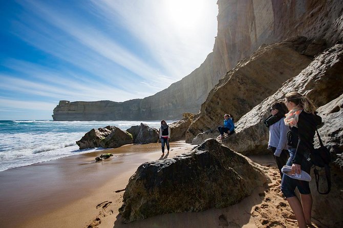 12 Apostles Great Ocean Road Eco Tour With Lunch From Melbourne - Reviews and Ratings Overview