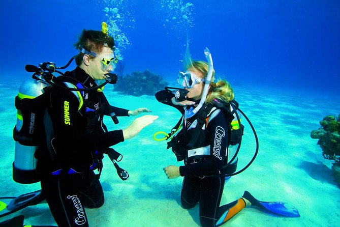 3-Hour Guided PADI Scuba Diving Experience in Tenerife - Common questions