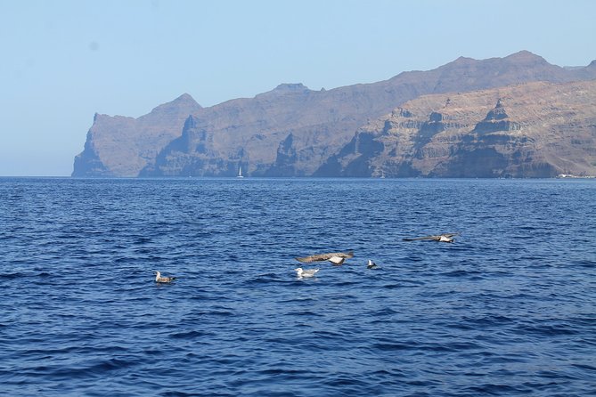 3h Boat Trip + Snorkeling in Puerto De Mogan - Customer Reviews and Testimonials