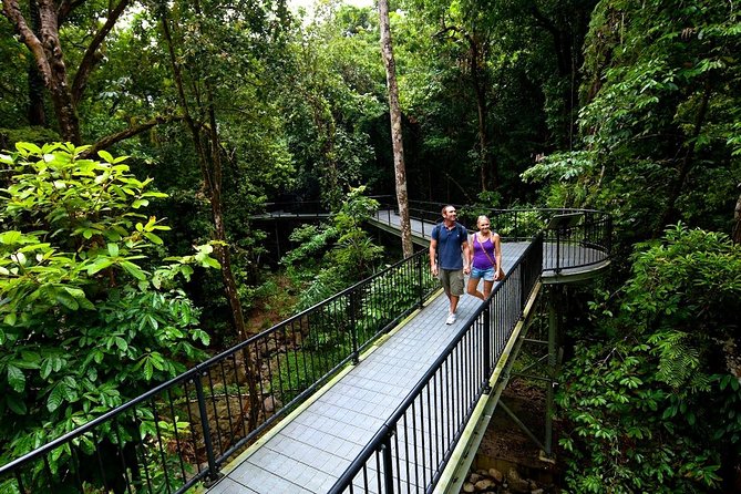 4 Day Cairns: Daintree Rainforest, Reef, Kuranda & Paronella Park - What to Expect and Pack