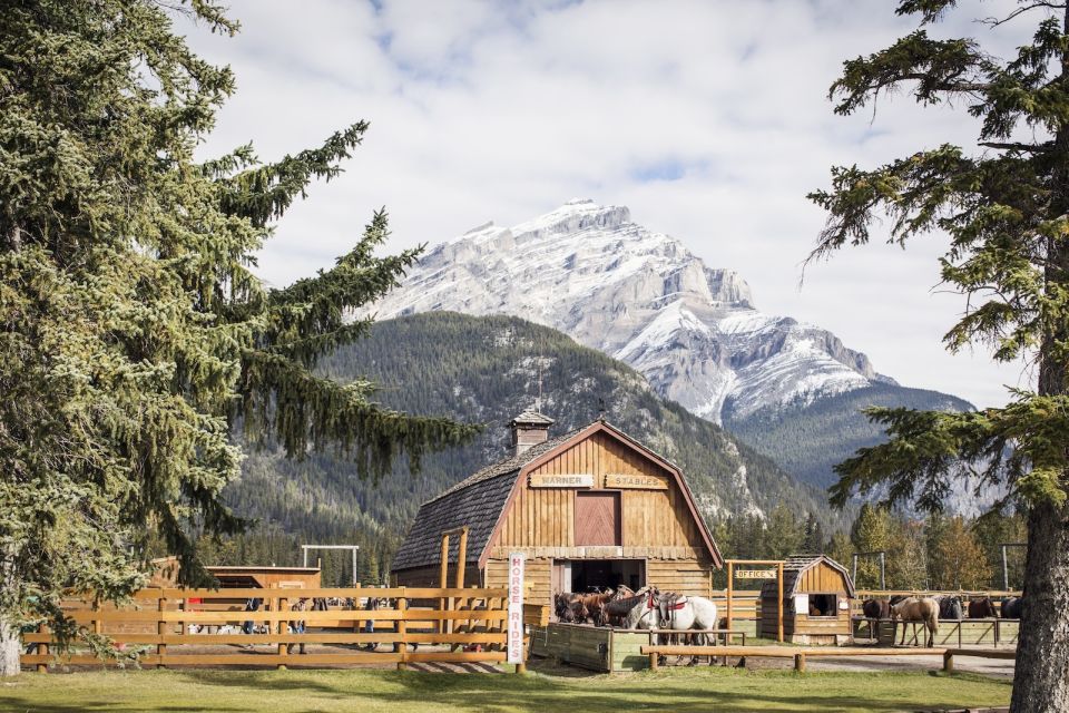 Banff: 3-Hour Bow Valley Loop Horseback Ride - Customer Reviews