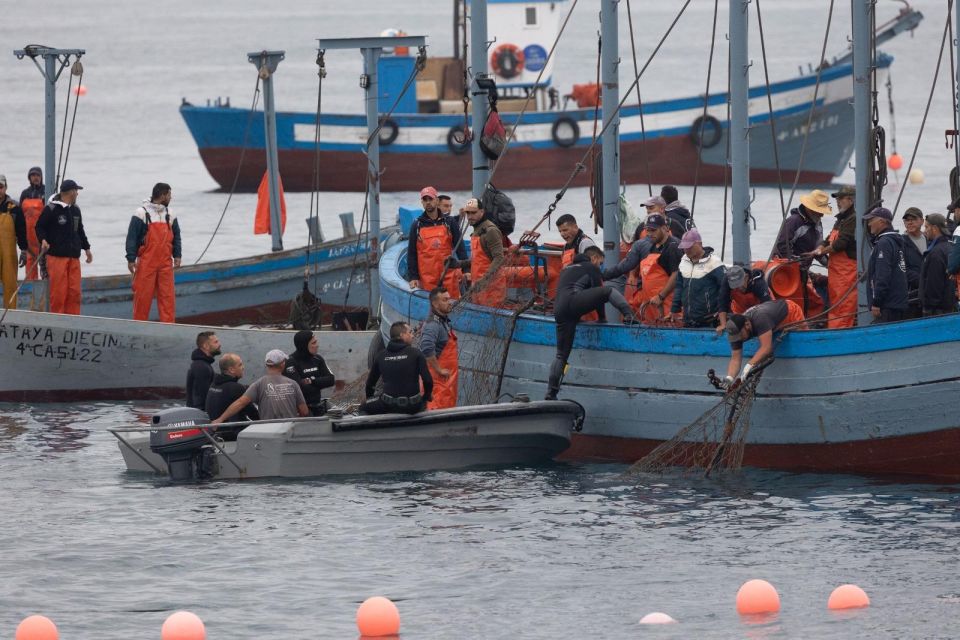 Barbate: Boat Tour to the Almadraba of Conil (Tuna Fishing) - Booking Tips