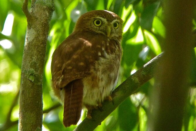 Birdwatching in Sian Kaan and Muyil Archaeological Site From Tulum - Refund Policy