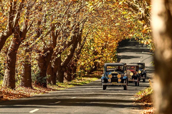 Blue Mountains Vintage Cadillac Tour With Local Guide - Tour Schedule and Hours