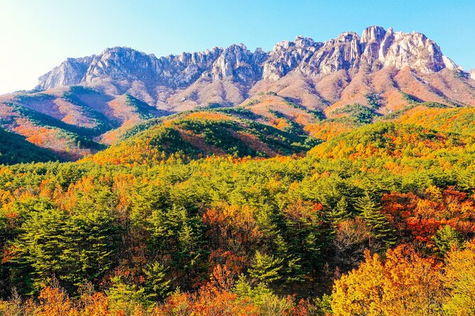 Breathtaking Autumn at Seoraksan National Park - Capturing Memories of Autumn