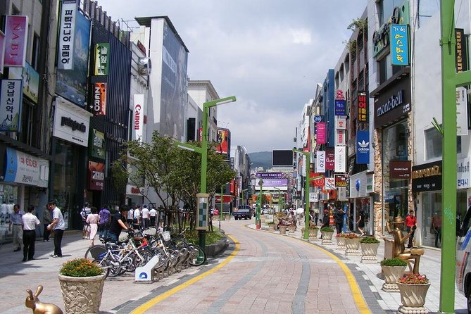 Busan Day Trip Including Gamcheon Culture Village From Seoul by KTX Train - Jagalchi Fish Market Adventure