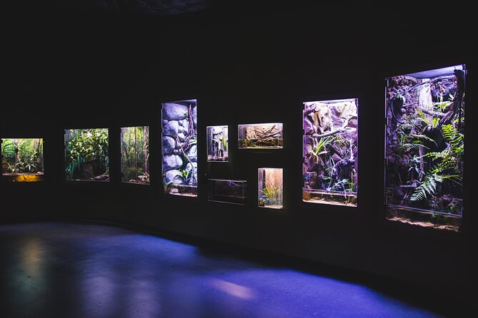 Cairns Aquarium by Twilight Tour - What to Expect at Night