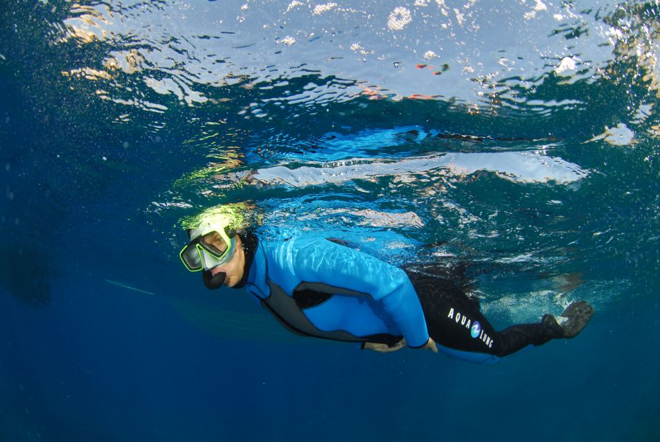 Calvi: Pointe De La Revellata Snorkeling Boat Tour - Common questions