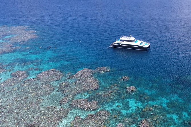 Calypso Outer Great Barrier Reef Cruise From Port Douglas - Inclusions and Extras