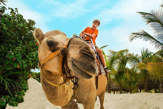 Camel Caravan Expedition and Beach Club With Transportation in Riviera Maya - Pickup and Confirmation