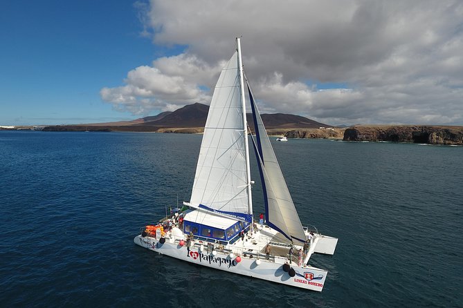 Catamaran Cruise to Papagayo Beaches, Lunch and Water Activities - Tips for a Memorable Cruise