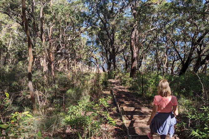 CENTRAL COAST PRIVATE TOUR Waterfalls, Beach Lookouts, Aboriginal Rock Art - Convenient Pickups and Dropoffs