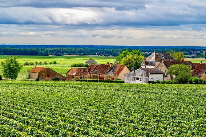 Chablis 15 Exquisite Wines Tasting Trip in Small-Group From Paris - Wine Varieties Explored