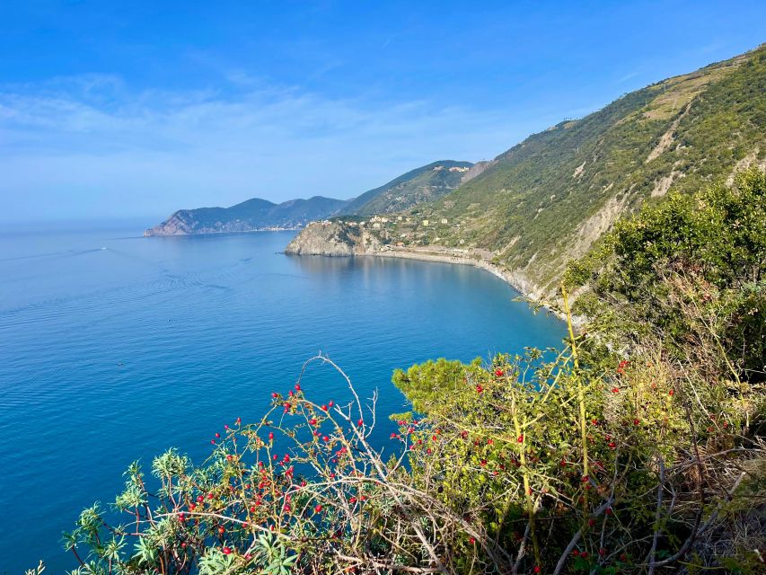 Cinque Terre Experience - Reservation Details