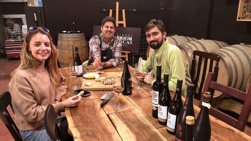 Coimbra: Prior Lucas Winery and Vineyard Visit With Tastings - Booking Information