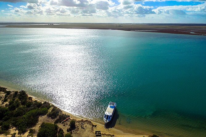 Coorong 3.5-Hour Discovery Cruise - Reviews and Testimonials