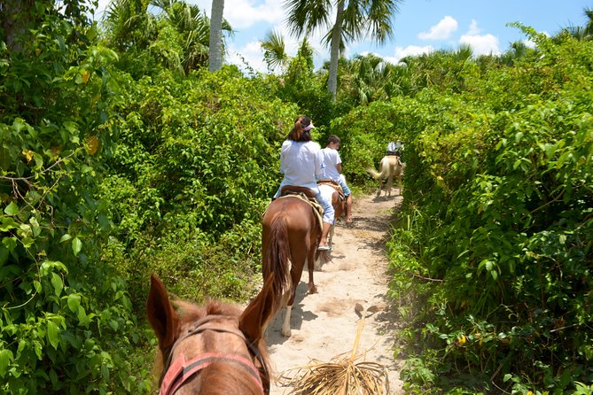 Cozumel Beach Horseback Riding Tour - Tour Highlights