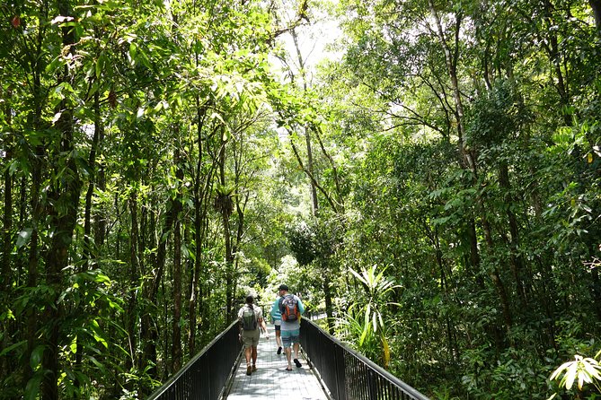 Daintree Dreaming Traditional Aboriginal Fishing From Cairns or Port Douglas - Important Tour Details and Logistics