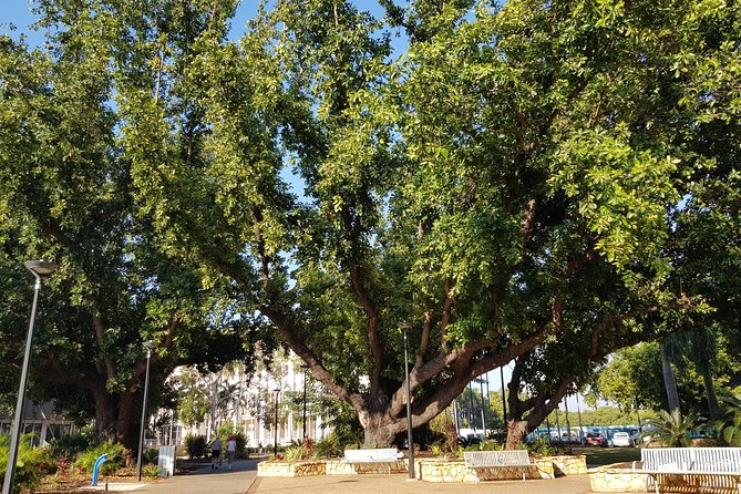 Darwin Heritage Walk - Tour Highlights and Insights