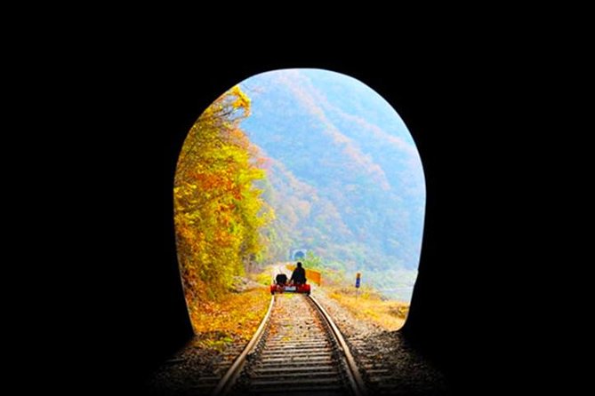 Day Tour to Gangchon Rail Bike Nami Island and Petite France - Planning Your Day Trip