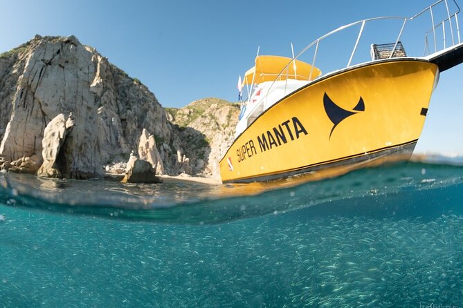 Discover Scuba Diving for Beginners With MANTA in Cabo San Lucas - Tips and Recommendations