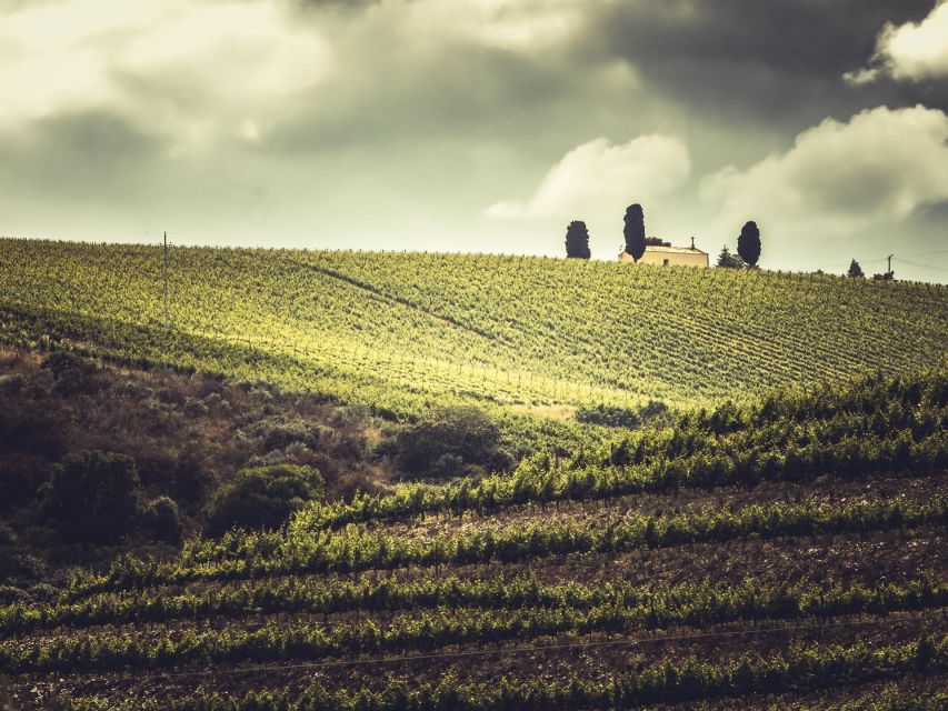 Douro Valley: 1 Day Landscape Photo Tour - Important Details