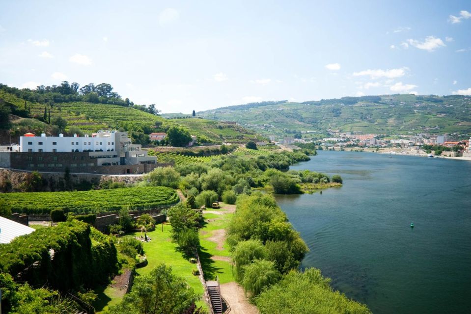 Douro Valley: Full-Day Private Wine Tour With Lunch - Common questions